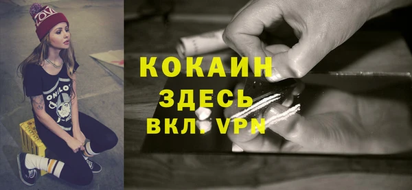 индика Алексин