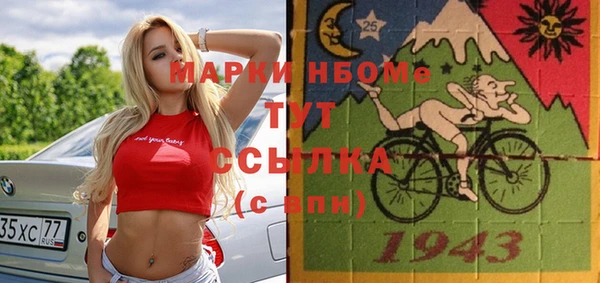 индика Алексин