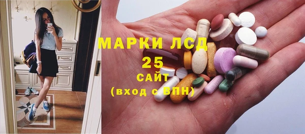 индика Алексин