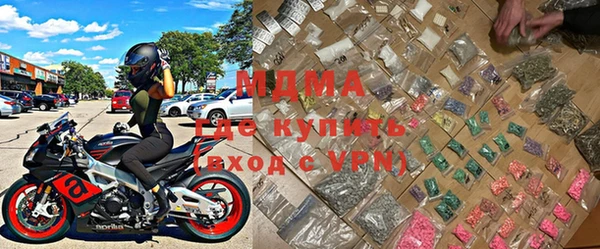 индика Алексин