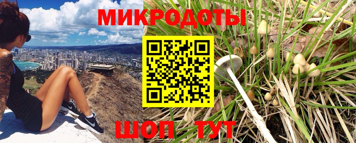 Псилоцибиновые грибы ЛСД  где купить наркоту  Касимов  Вход с VPN 