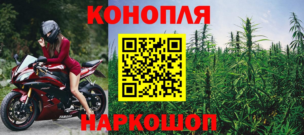 Каннабис семена  Вход с VPN  Касимов  Каннабис Amnesia  Бошки марихуана тримм  Шишки марихуана марихуана 